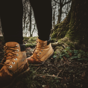 Wandelen