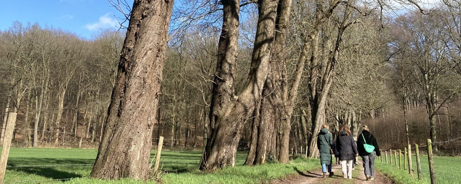 GEANNULEERD Lente meditatie-wandeling is geannuleerd